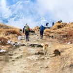 Top 10 Hiking Trails for Every Adventure Seeker